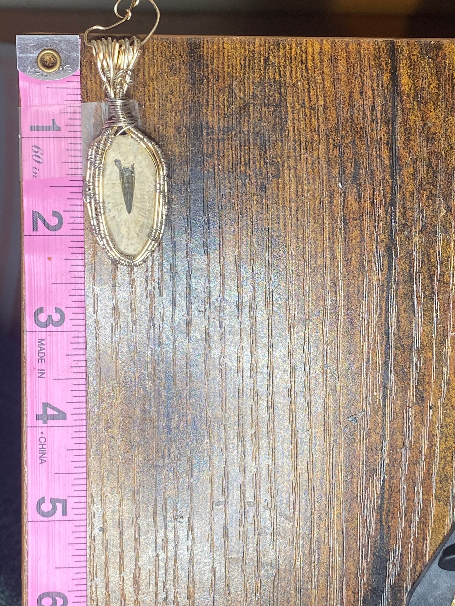 Fossilized Dinosaur Claw